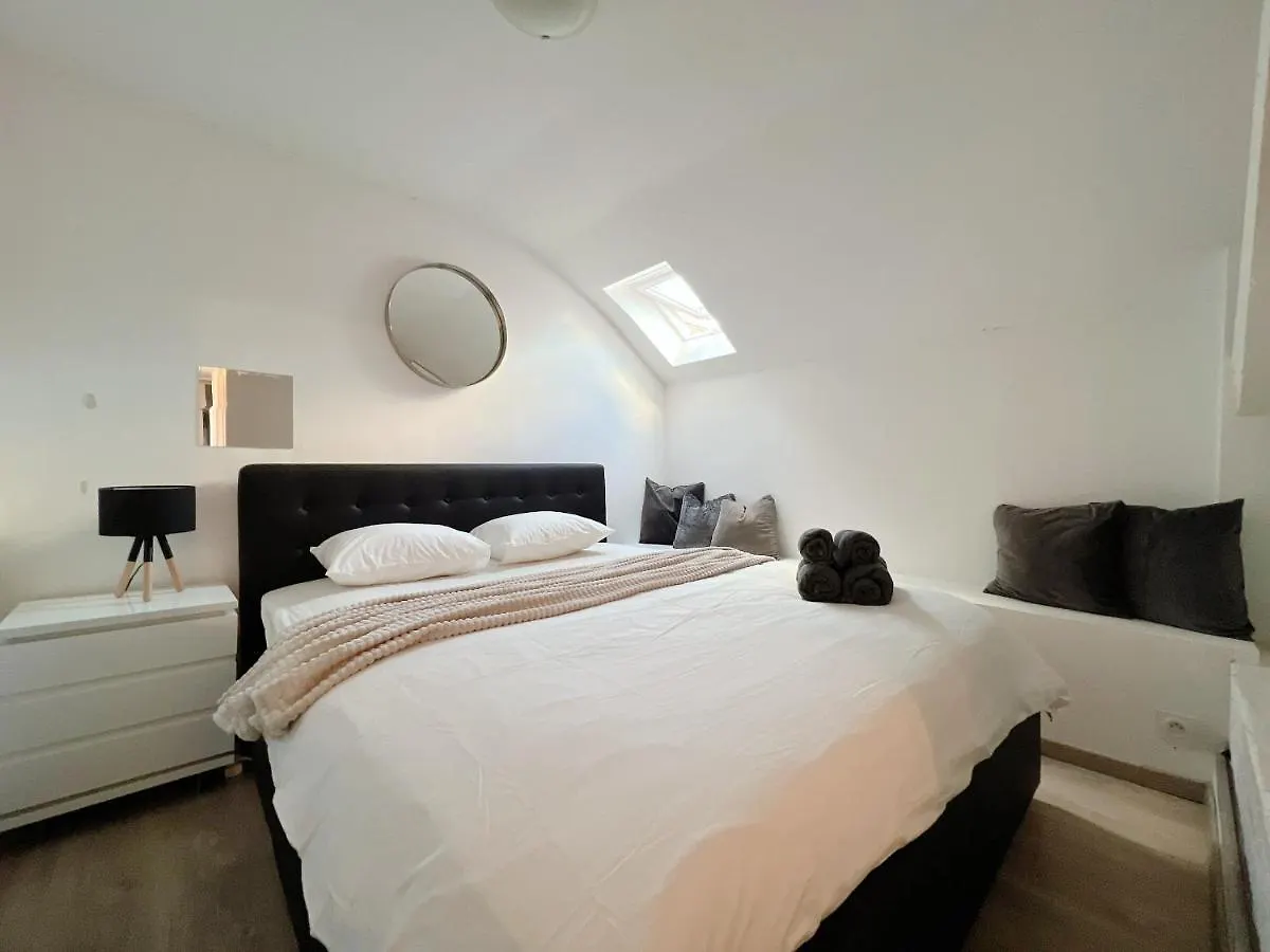 Duplex Penthouse With Sauna & Jacuzzi In The Centre Of Budapest Apartment