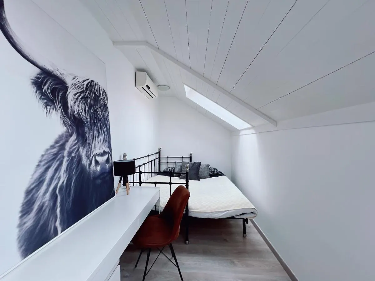 Duplex Penthouse With Sauna & Jacuzzi In The Centre Of Budapest 0*,