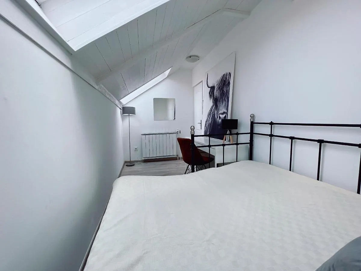 Duplex Penthouse With Sauna & Jacuzzi In The Centre Of Budapest Lejlighed