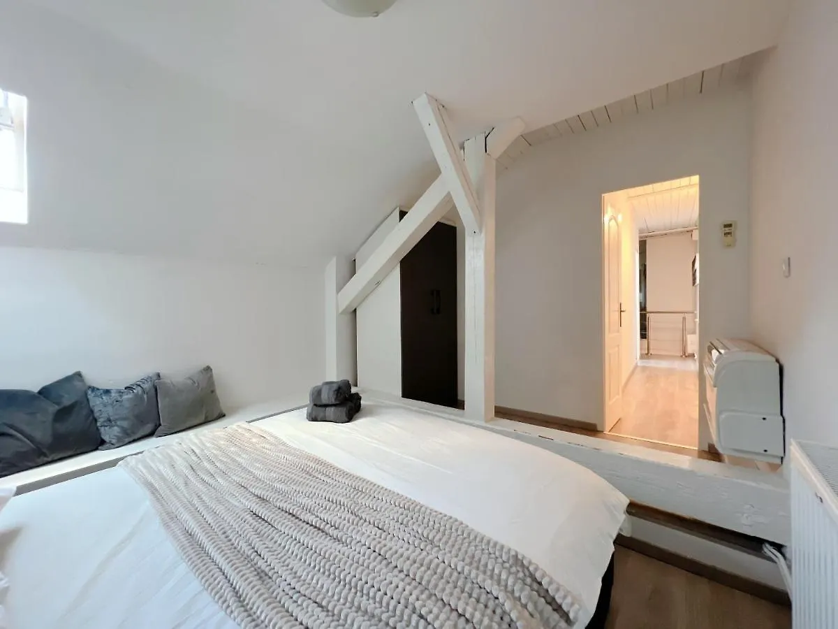 Lejlighed Duplex Penthouse With Sauna & Jacuzzi In The Centre Of Budapest